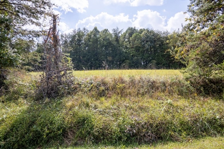 Building Land for Sale in Franklin County! - image 11