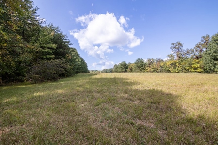 Building Land for Sale in Franklin County! - image 7