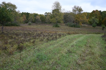 Big Buck Property in Mecosta County Michigan - image 26