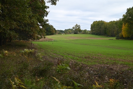 Big Buck Property in Mecosta County Michigan - image 21
