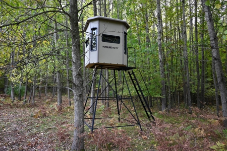 Big Buck Property in Mecosta County Michigan - image 23