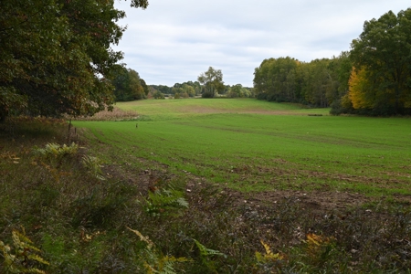 Big Buck Property in Mecosta County Michigan - image 20