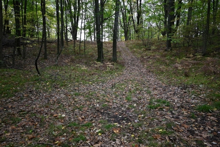 Big Buck Property in Mecosta County Michigan - image 10