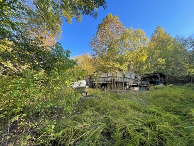 Ozarks Subdivision Lots Near Gamaliel Arkansas - image 3