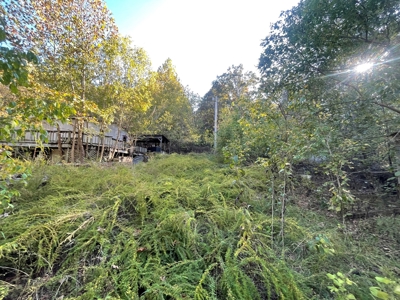 Ozarks Subdivision Lots Near Gamaliel Arkansas - image 4