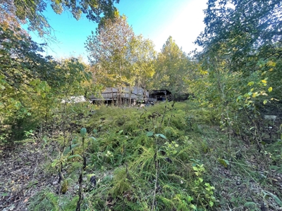 Ozarks Subdivision Lots Near Gamaliel Arkansas - image 6