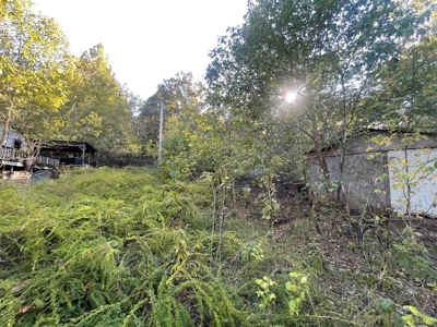 Ozarks Subdivision Lots Near Gamaliel Arkansas - image 5