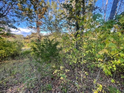Ozarks Subdivision Lots Near Gamaliel Arkansas - image 1