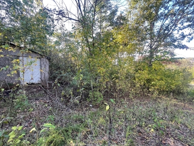Ozarks Subdivision Lots Near Gamaliel Arkansas - image 2