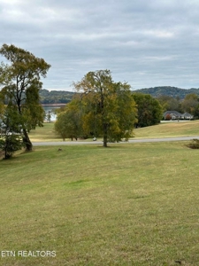 Lakefront Community Lot For Sale Mooresburg, TN - image 9