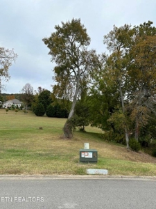 Lakefront Community Lot For Sale Mooresburg, TN - image 2