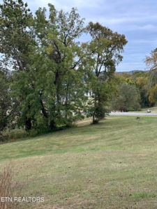 Lakefront Community Lot For Sale Mooresburg, TN - image 13
