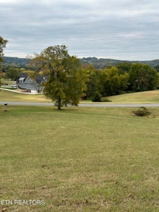 Lakefront Community Lot For Sale Mooresburg, TN - image 7