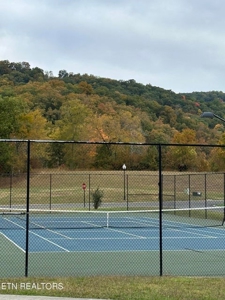 Lakefront Community Lot For Sale Mooresburg, TN - image 19