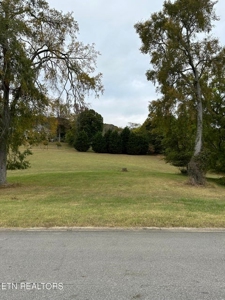 Lakefront Community Lot For Sale Mooresburg, TN - image 3