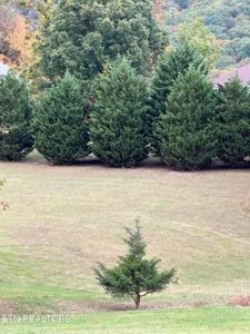 Lakefront Community Lot For Sale Mooresburg, TN - image 15