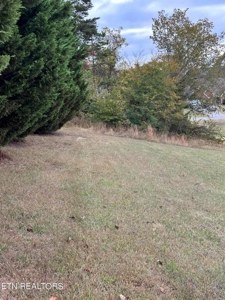 Lakefront Community Lot For Sale Mooresburg, TN - image 8