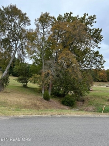 Lakefront Community Lot For Sale Mooresburg, TN - image 14