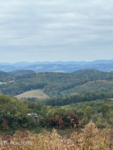83 acres For Sale In Morristown TN - image 6