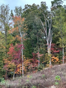 83 acres For Sale In Morristown TN - image 21