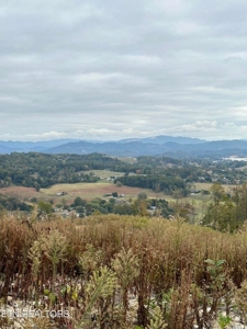 83 acres For Sale In Morristown TN - image 10
