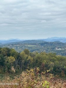 83 acres For Sale In Morristown TN - image 5
