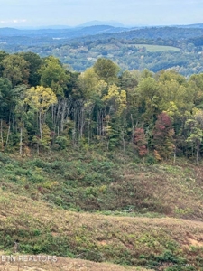 83 acres For Sale In Morristown TN - image 17