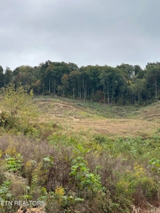 83 acres For Sale In Morristown TN - image 20