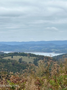83 acres For Sale In Morristown TN - image 23