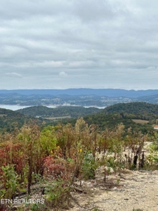 83 acres For Sale In Morristown TN - image 8