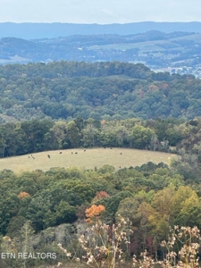 83 acres For Sale In Morristown TN - image 22