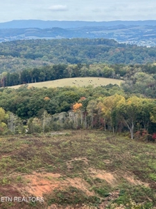 83 acres For Sale In Morristown TN - image 16