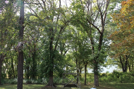 Home on Bull Shoals Lake, Noland Point with 2 Slip Boat Dock - image 9