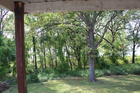 Home on Bull Shoals Lake, Noland Point with 2 Slip Boat Dock - image 16