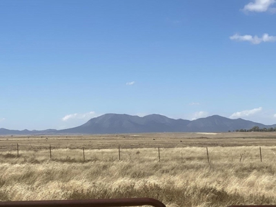 105.69 acres 3 miles north of Moriarty, NM in Santa Fe Co - image 4
