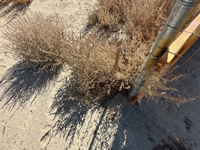 Nevada Horse Property Acreage Land Lot For Sale In Yerington - image 5