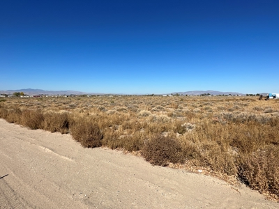Nevada Horse Property Acreage Land Lot For Sale In Yerington - image 6