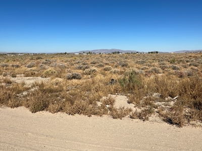 Nevada Horse Property Acreage Land Lot For Sale In Yerington - image 1