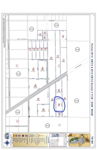 Nevada Horse Property Acreage Land Lot For Sale In Yerington - image 13