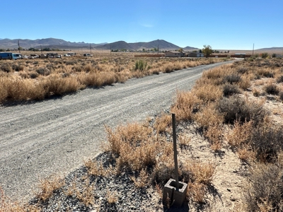 Nevada Horse Property Acreage Land Lot For Sale In Yerington - image 7