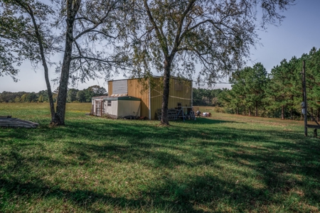 East Texas Ranch and Country Home along Little Cypress Bayou - image 5