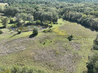 East Texas Ranch and Country Home along Little Cypress Bayou - image 34