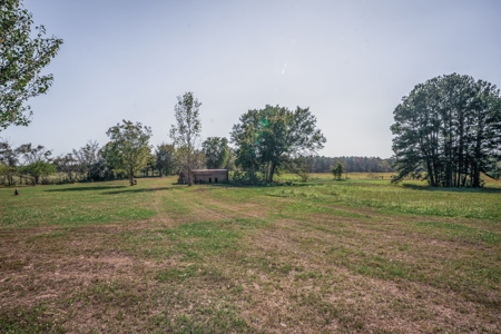 East Texas Ranch and Country Home along Little Cypress Bayou - image 10