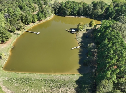 East Texas Ranch and Country Home along Little Cypress Bayou - image 30