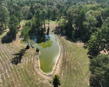 East Texas Ranch and Country Home along Little Cypress Bayou - image 29