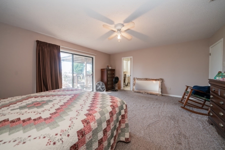 East Texas Ranch and Country Home along Little Cypress Bayou - image 25