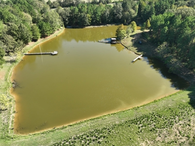 East Texas Ranch and Country Home along Little Cypress Bayou - image 32