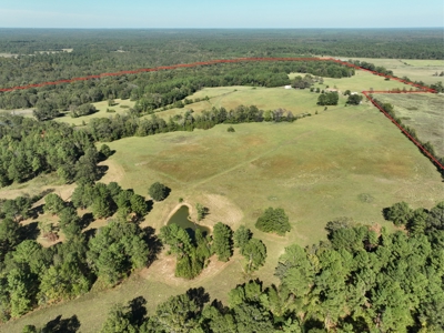 East Texas Ranch and Country Home along Little Cypress Bayou - image 35