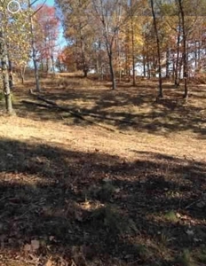 Accepted Offer In Albany, Kentucky - image 4