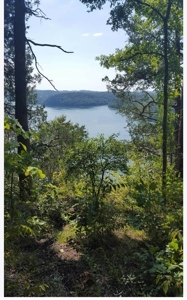 Accepted Offer In Albany, Kentucky - image 1